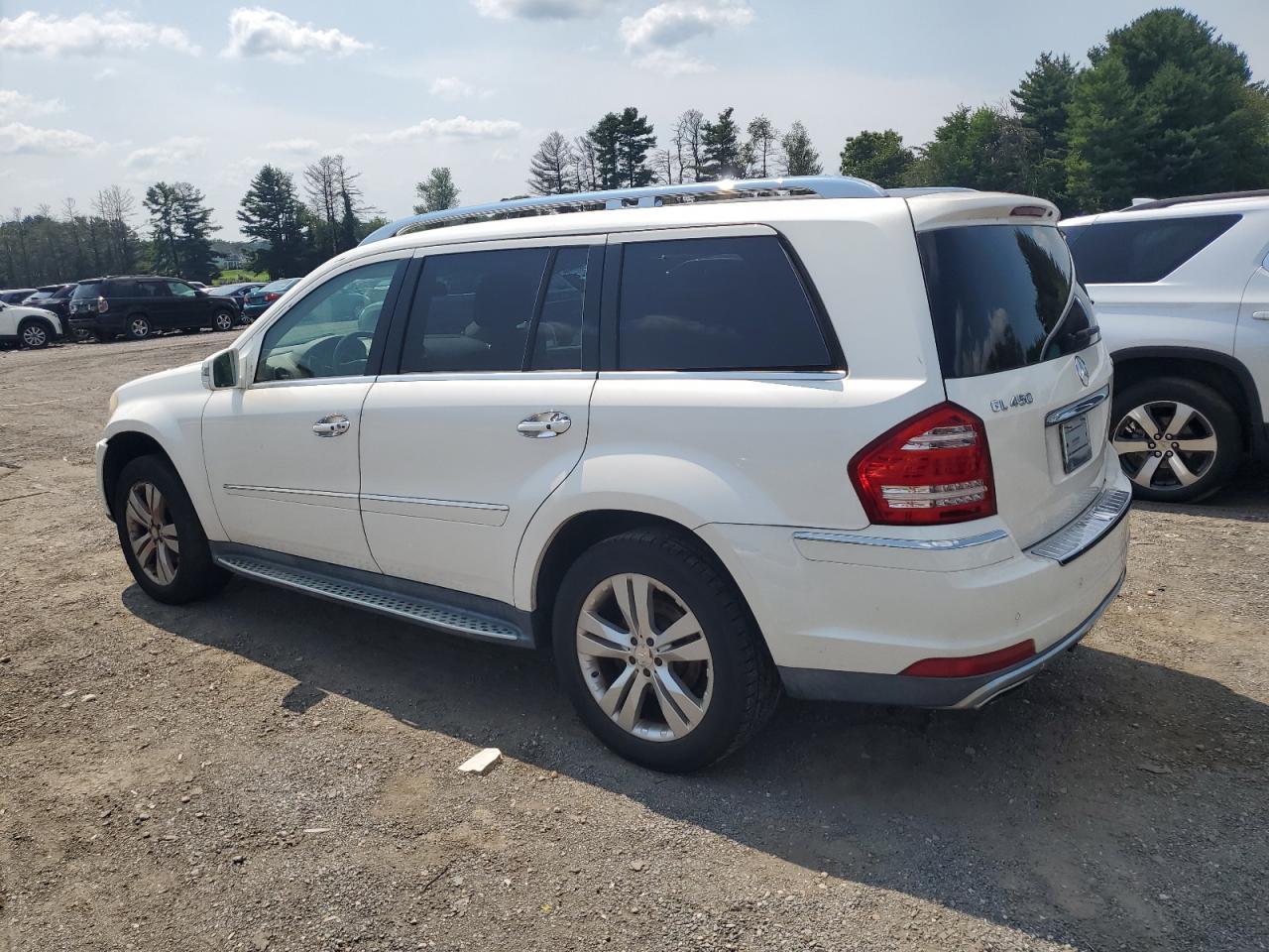 2011 Mercedes-Benz Gl 450 4Matic - Фото 2