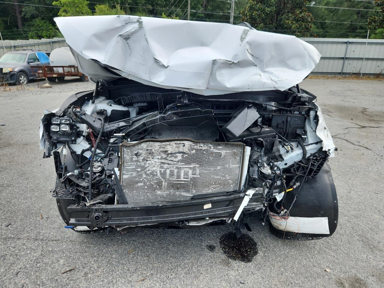 2024 Kia Telluride Sx - Image 5