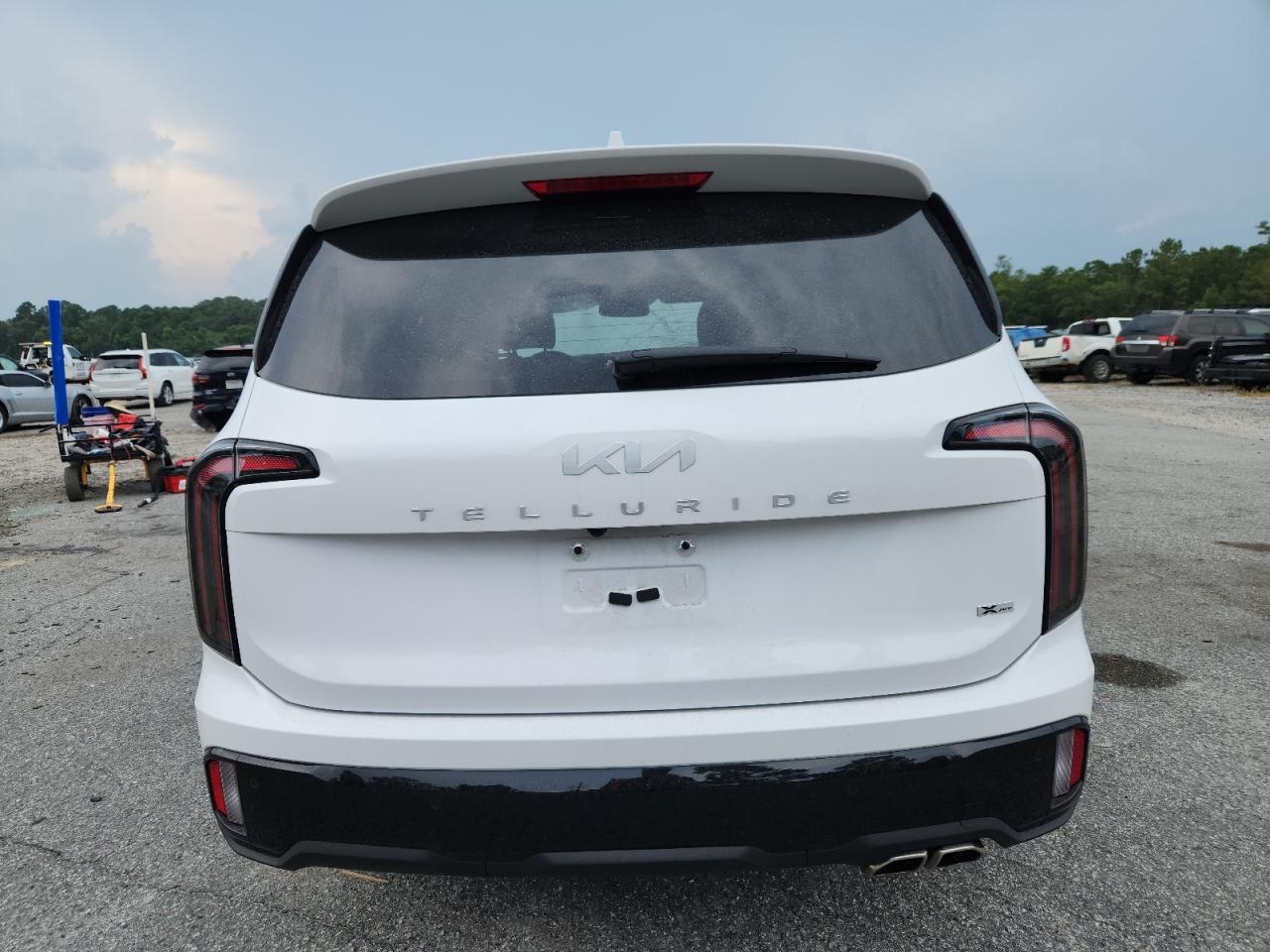 2024 Kia Telluride Sx - Image 6