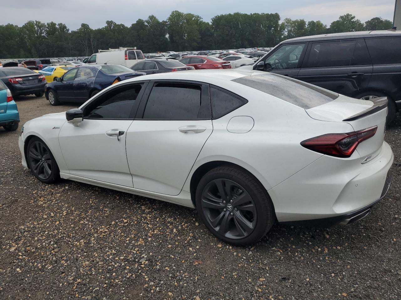 2023 Acura Tlx Tech A - Image 2