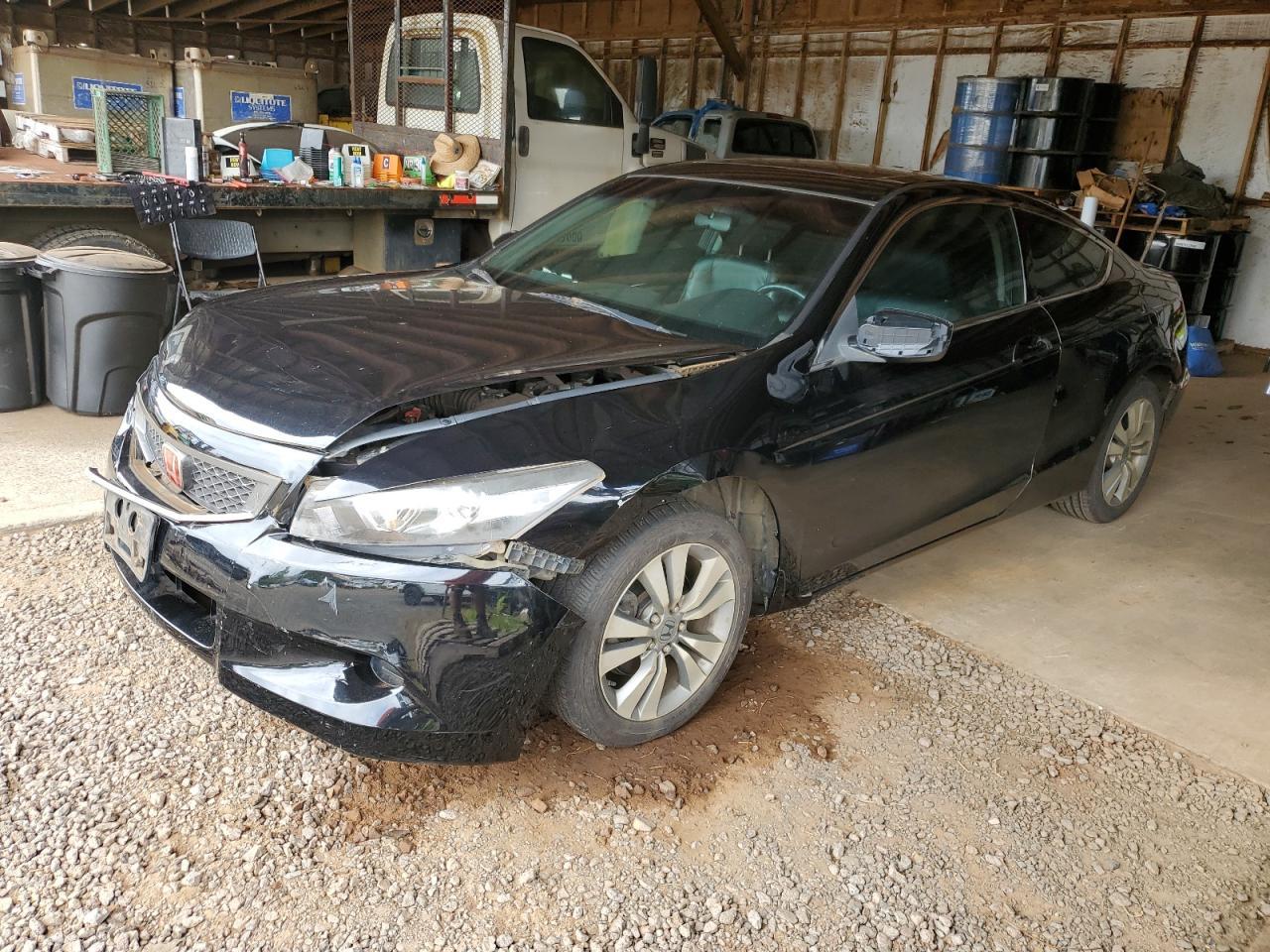 2010 Honda Accord Exl