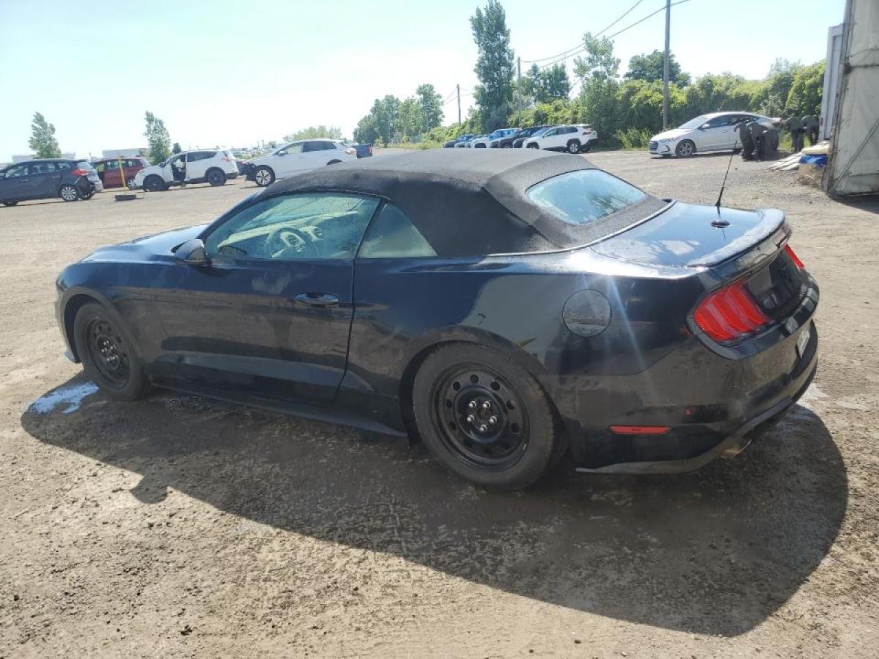 2019 Ford Mustang - Фото 2