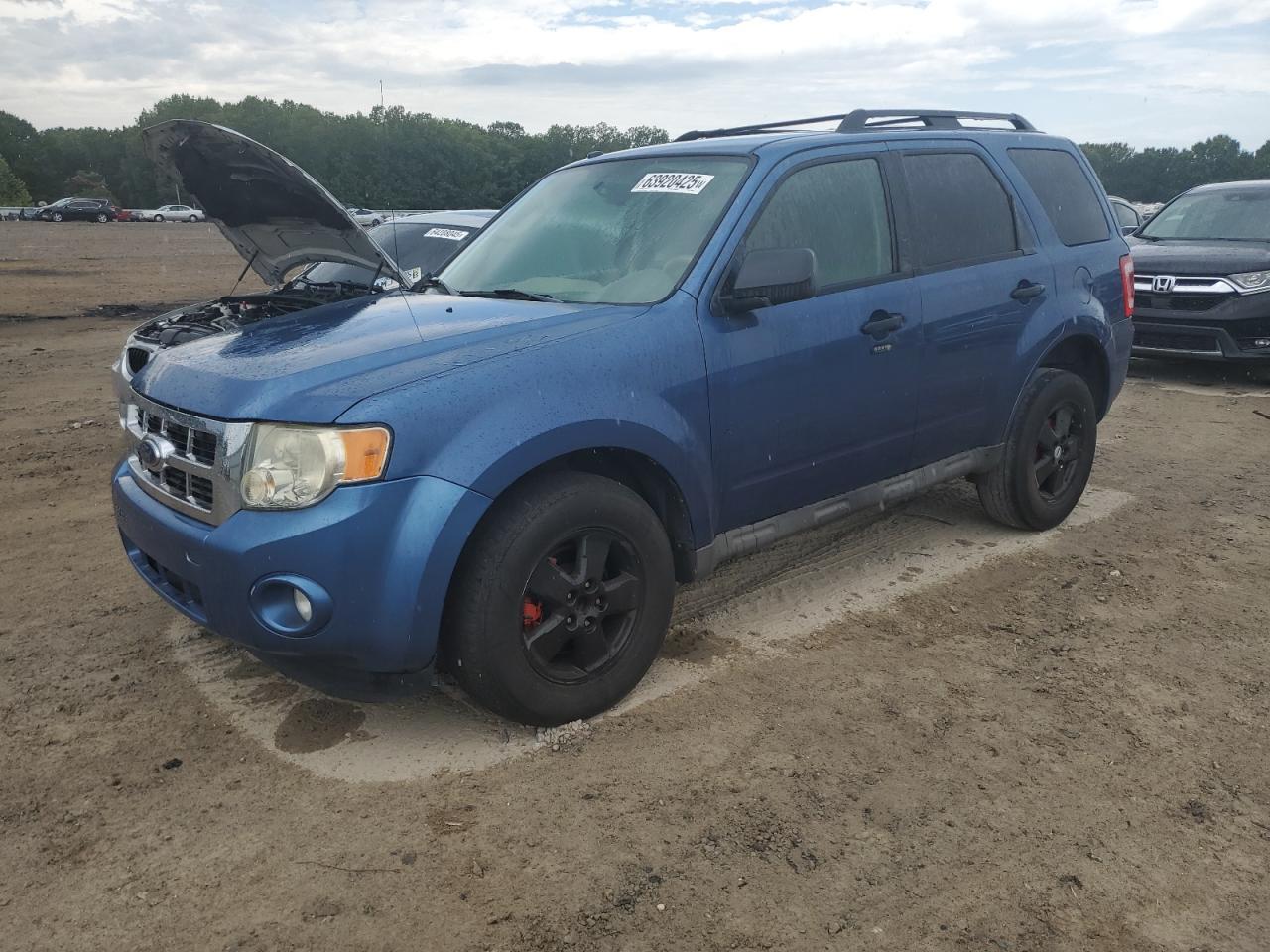 2009 Ford Escape Xlt