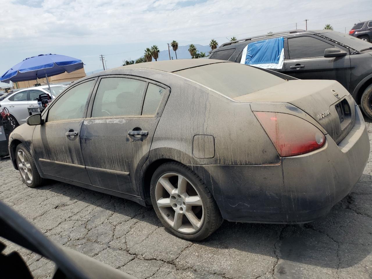 2006 Nissan Maxima Se - Фото 2