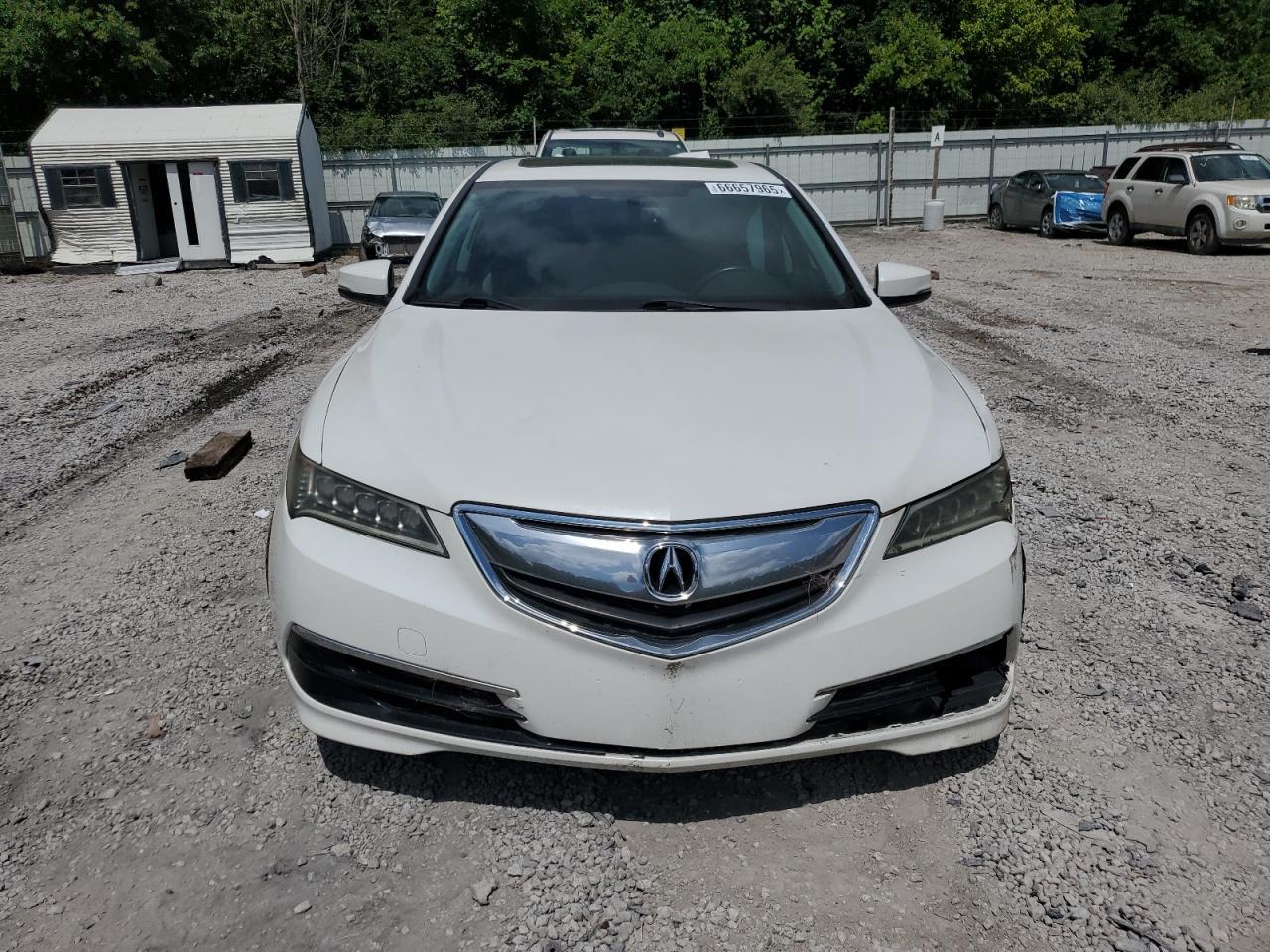 2015 Acura Tlx - Фото 5