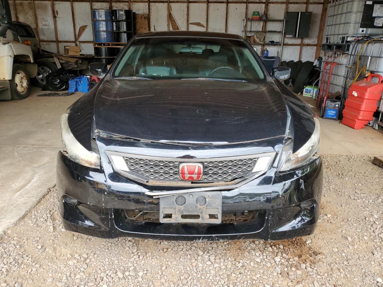 2010 Honda Accord Exl - Фото 5