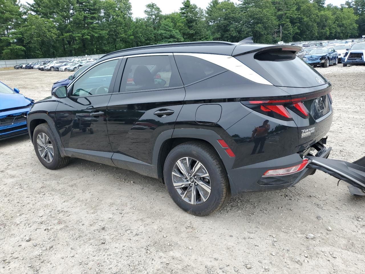 2024 Hyundai Tucson Blue - Фото 2