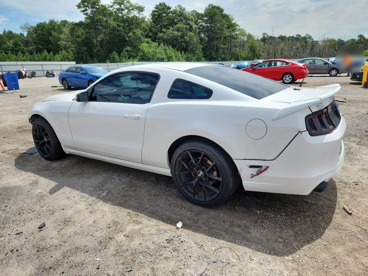 2013 Ford Mustang - Фото 2