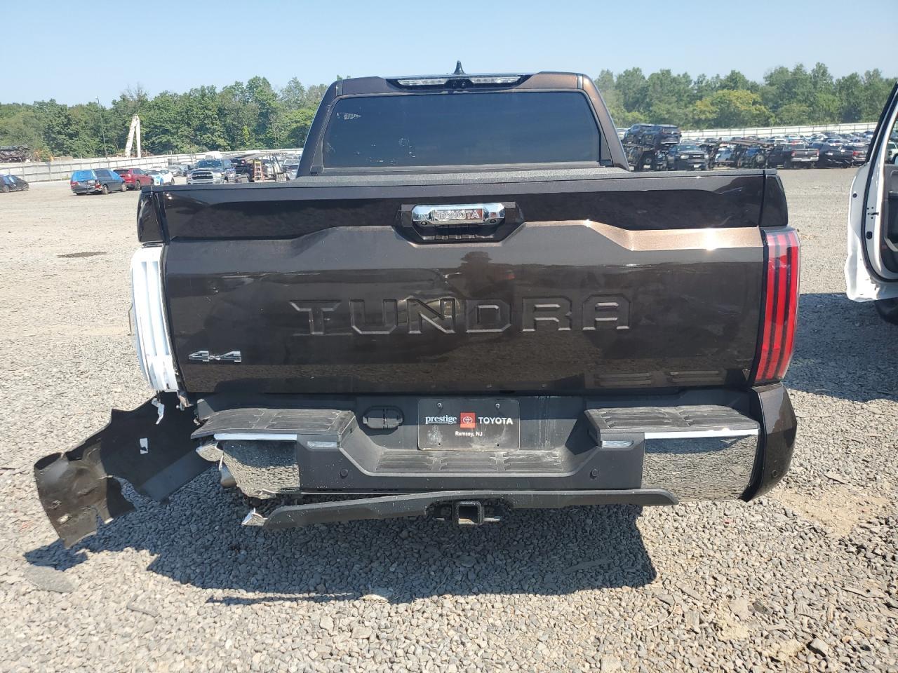 2022 Toyota Tundra Crewmax Platinum - Фото 6