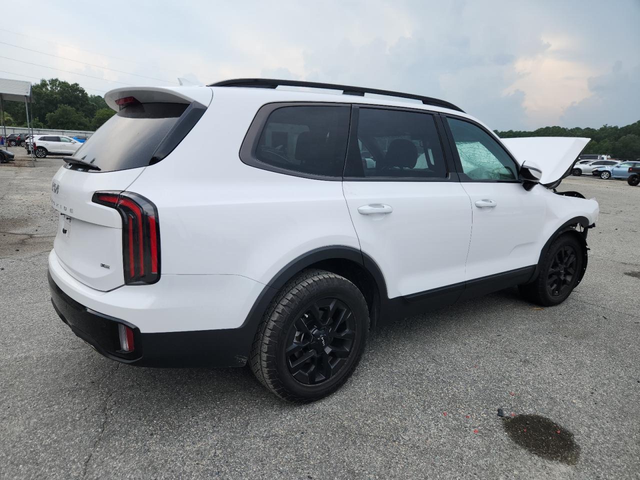 2024 Kia Telluride Sx - Image 3