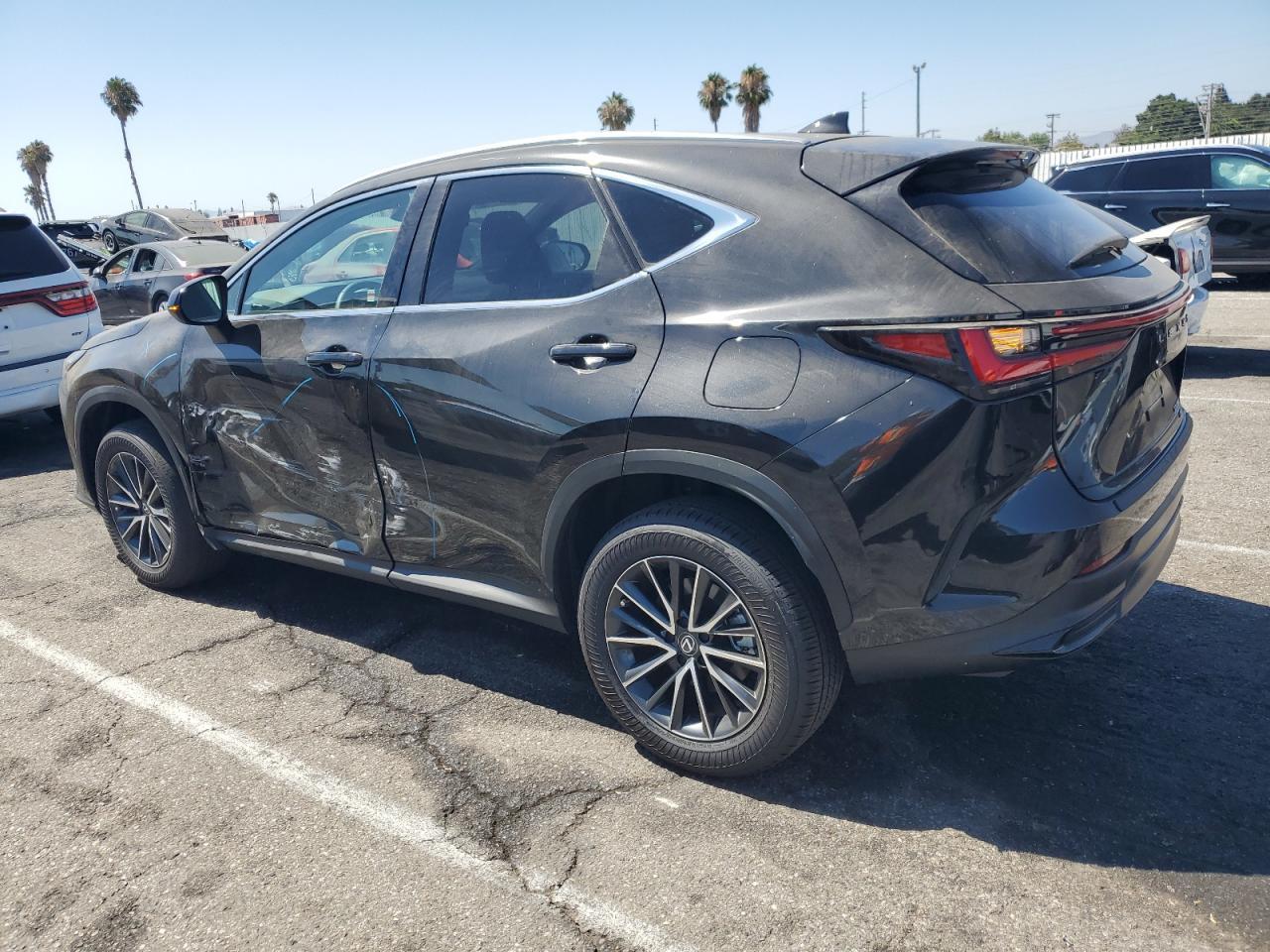 2024 Lexus Nx 350 Base - Фото 2