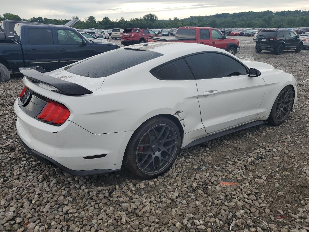 2019 Ford Mustang Gt - Фото 3