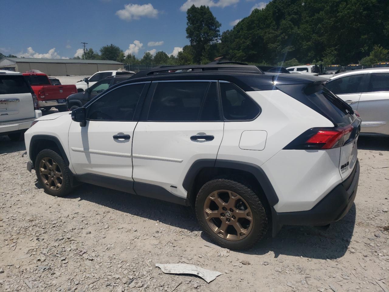 2024 Toyota Rav4 Woodland Edition - Image 2