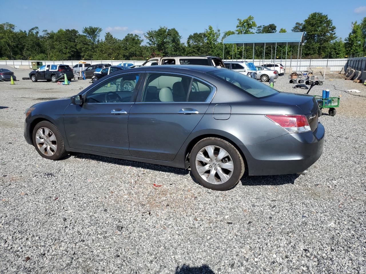 2009 Honda Accord Exl - Фото 2