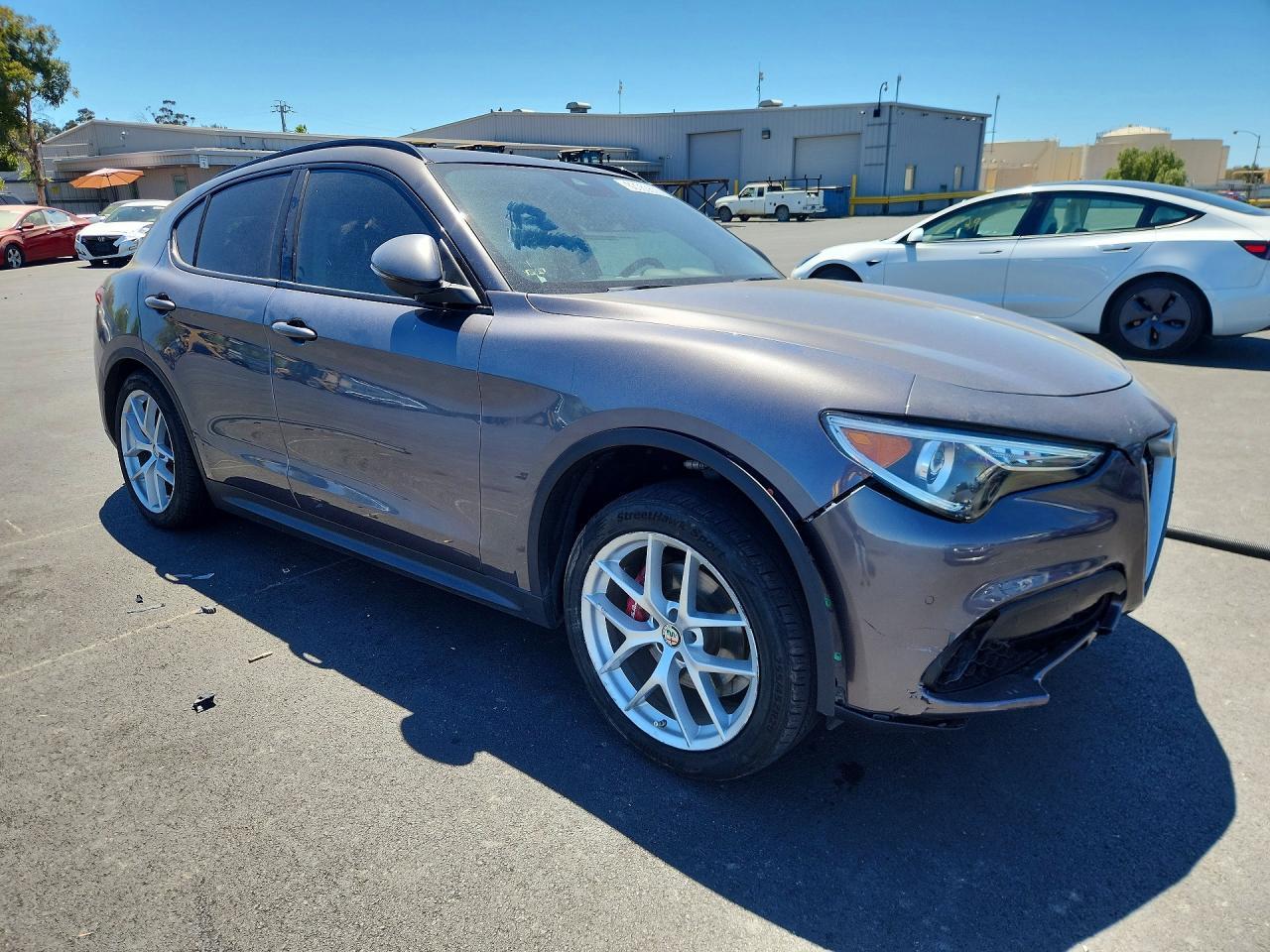2019 Alfa Romeo Stelvio - Фото 4