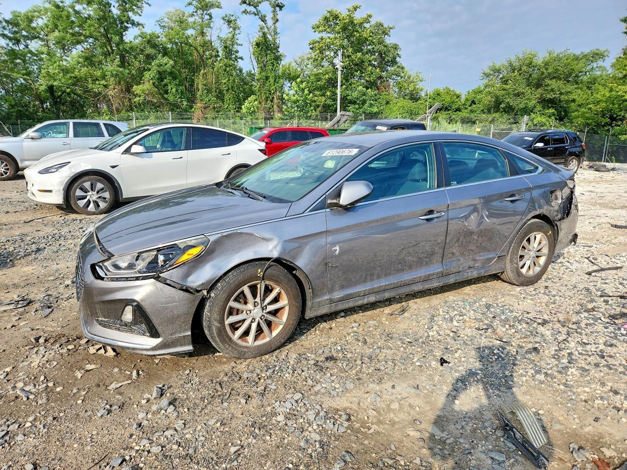 2019 Hyundai Sonata Se