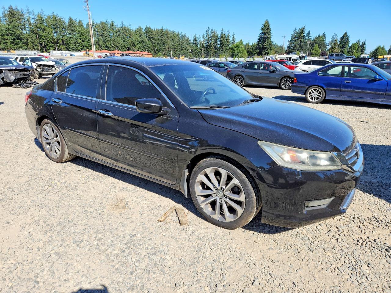 2014 Honda Accord Sport - Фото 4