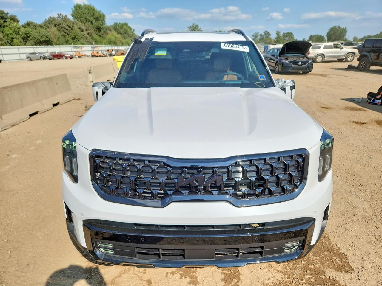 2025 Kia Telluride Sx-Prestige X-Pro - Фото 5