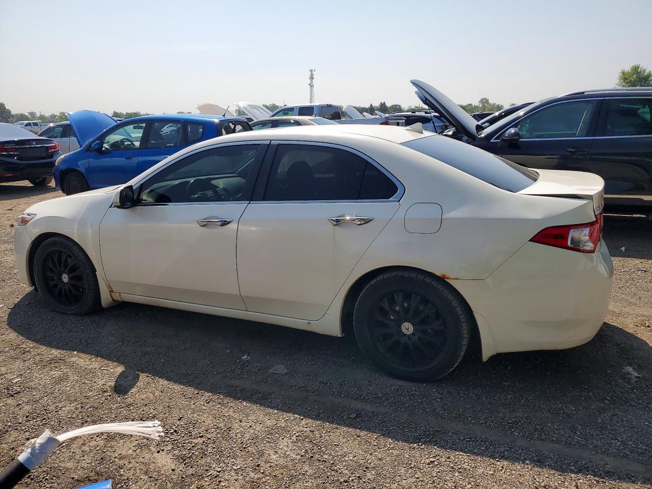 2010 Acura Tsx - Фото 2