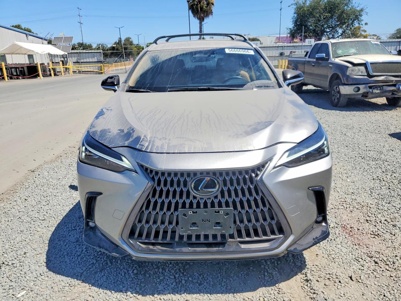 2024 Lexus Nx 250 Base - Фото 5