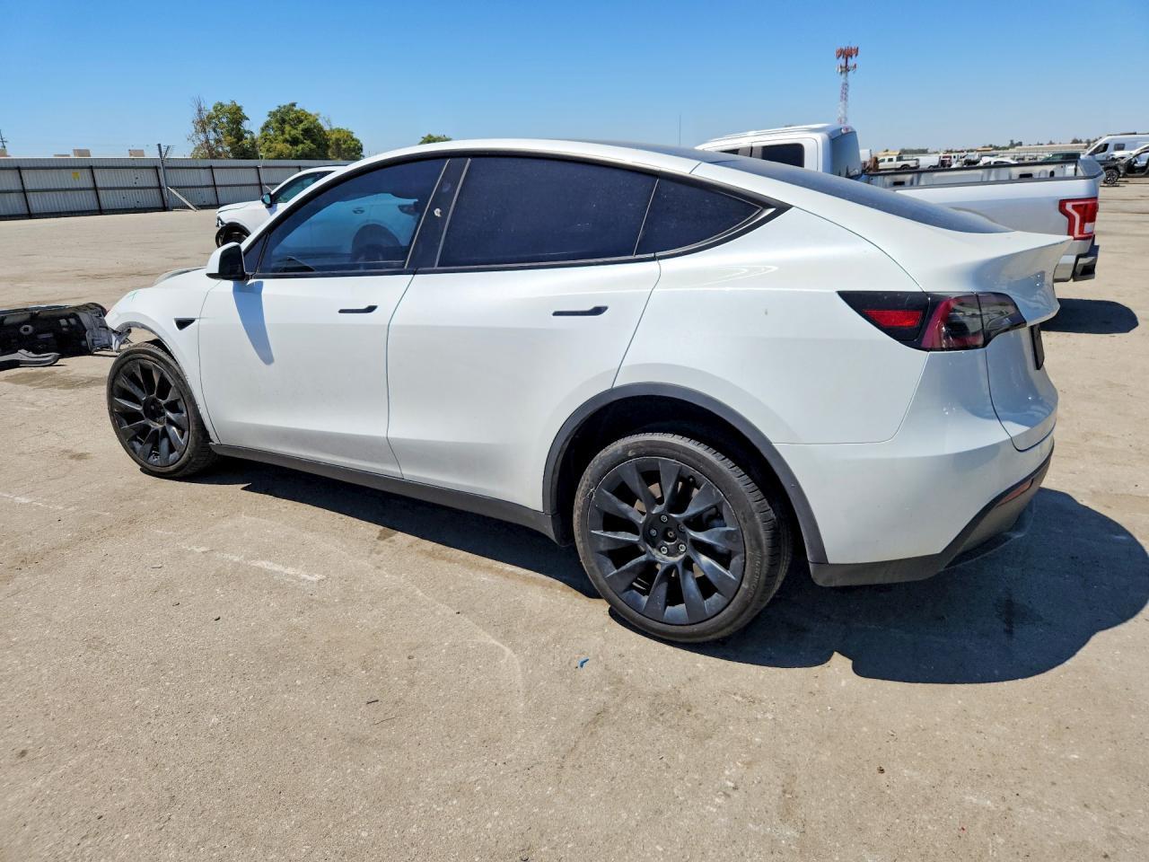 2024 Tesla Model Y - Фото 2