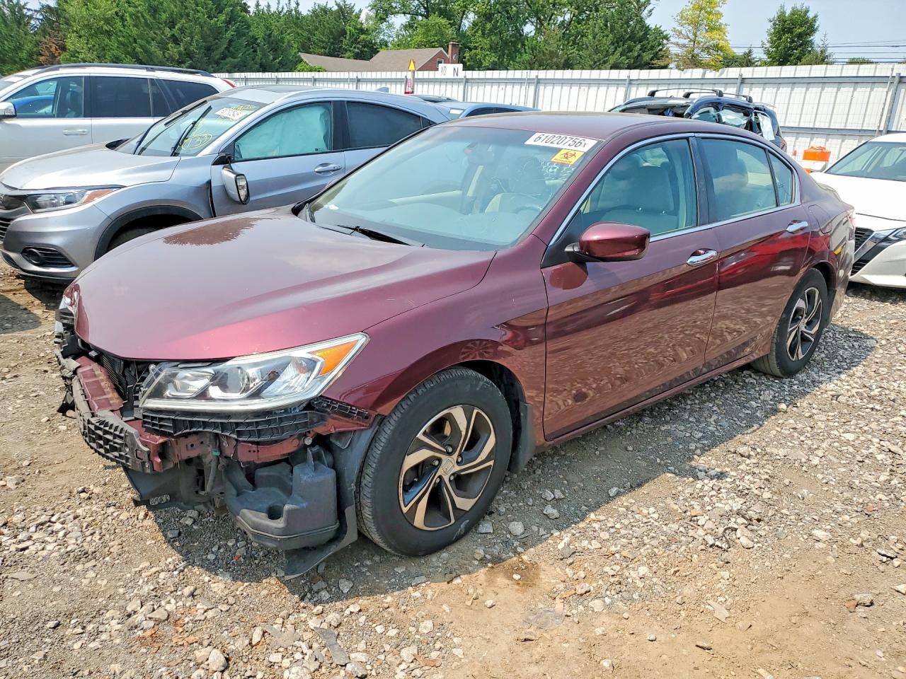lot