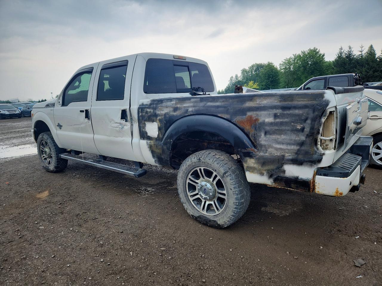2014 Ford F350 Super Duty - Фото 2