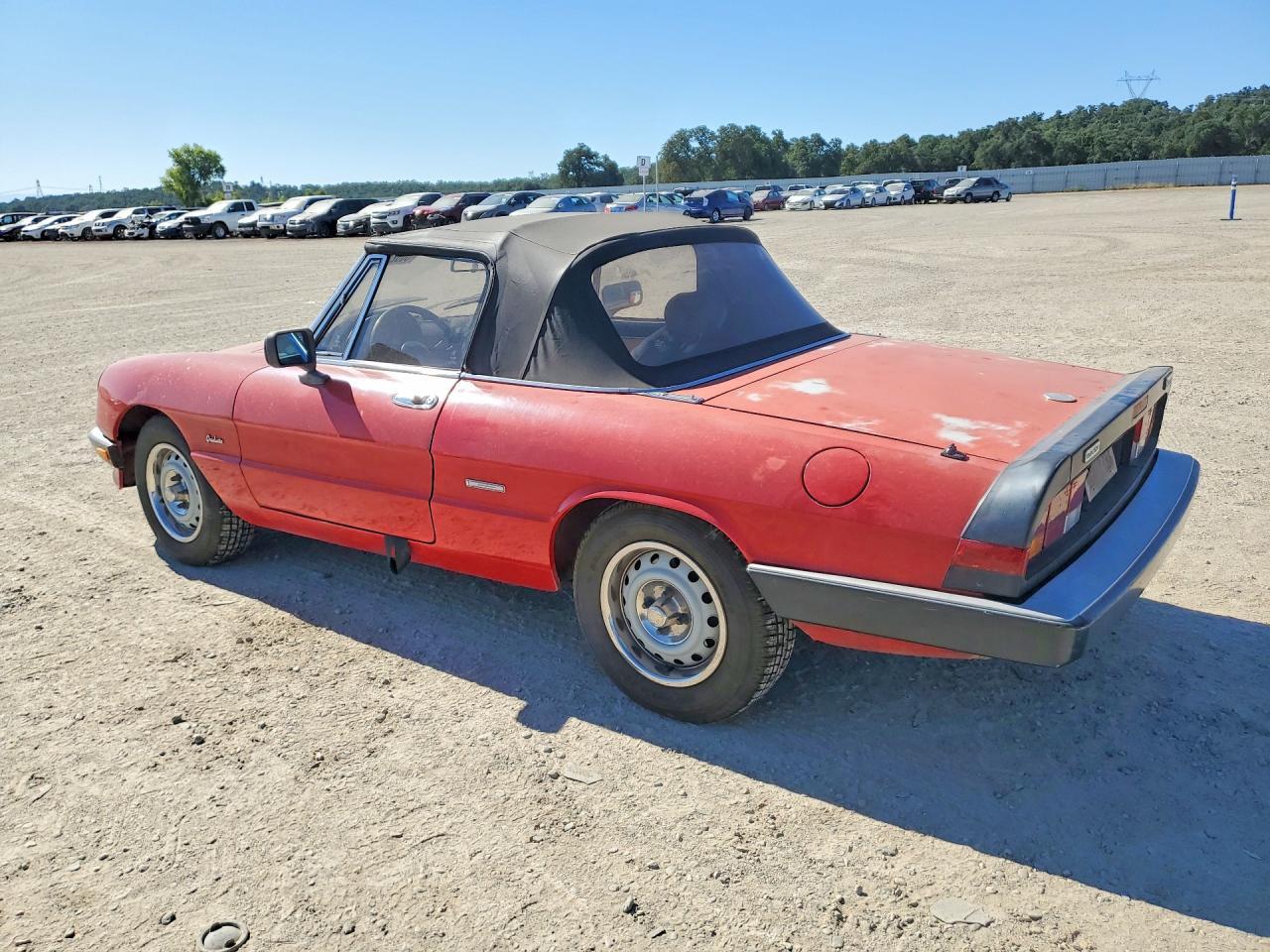 1987 Alfa Romeo Spider Graduate - Image 2