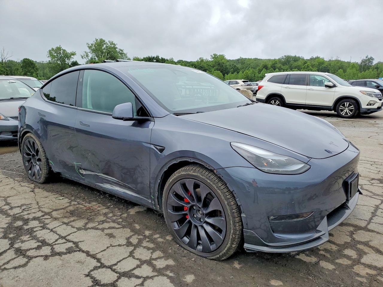 2023 Tesla Model Y - Фото 4