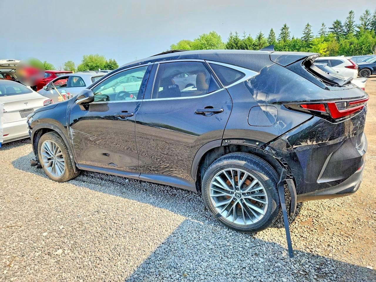 2025 Lexus Nx 350 Premium - Фото 2