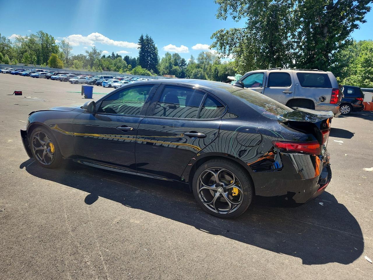 2019 Alfa Romeo Giulia - Фото 2
