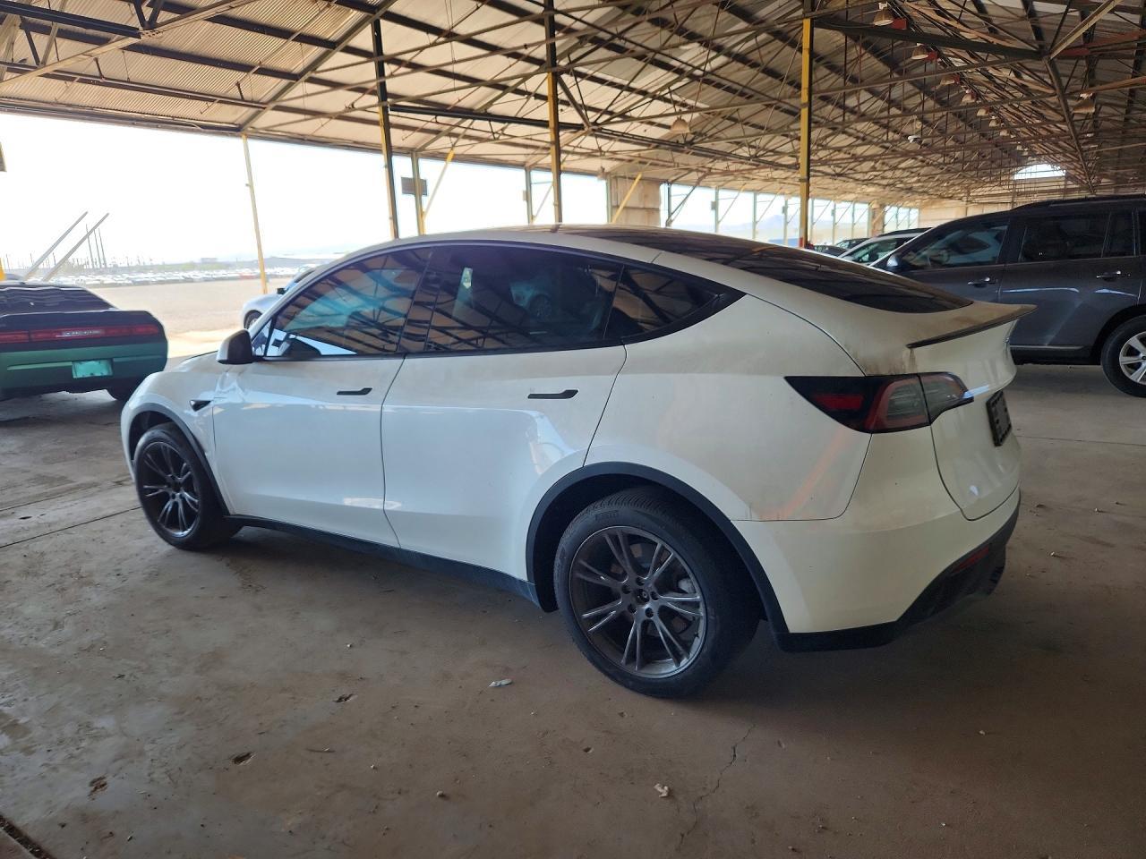 2024 Tesl Model Y - Фото 2