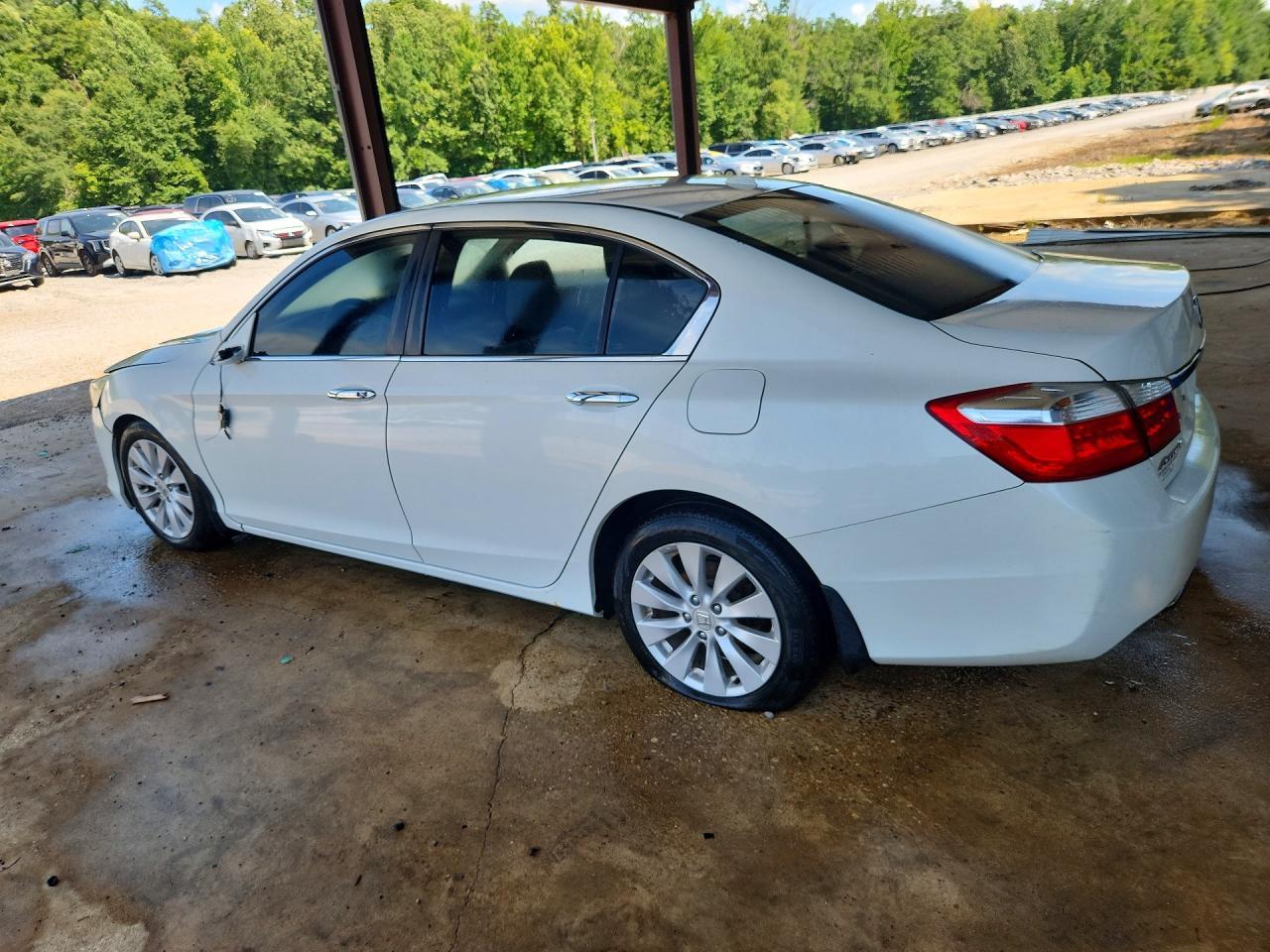 2013 Honda Accord Exl - Фото 2