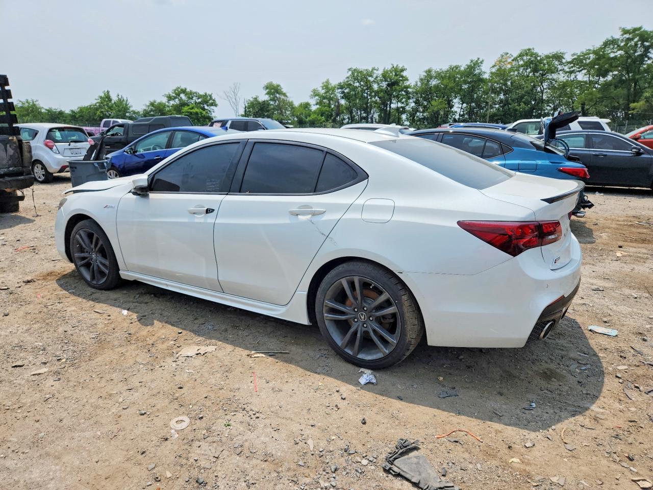 2019 Acura Tlx Technology/A-Spec - Фото 2