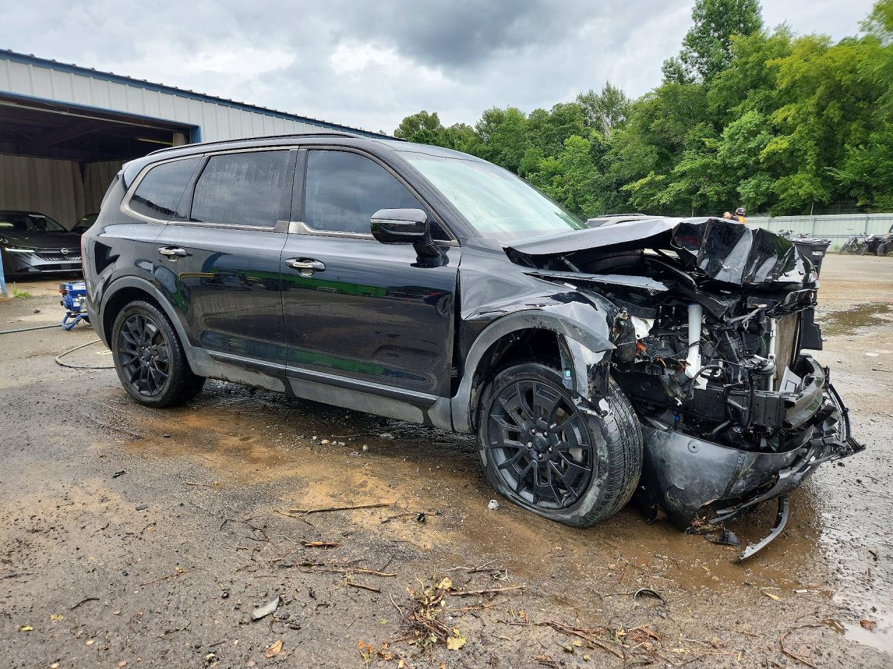 2021 Kia Telluride Sx - Фото 4