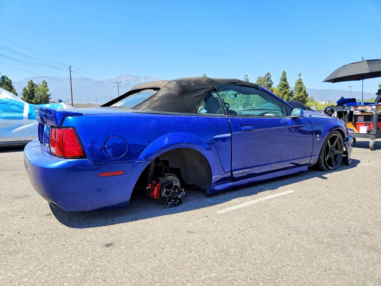 2003 Ford Mustang Cobra Svt - Фото 3