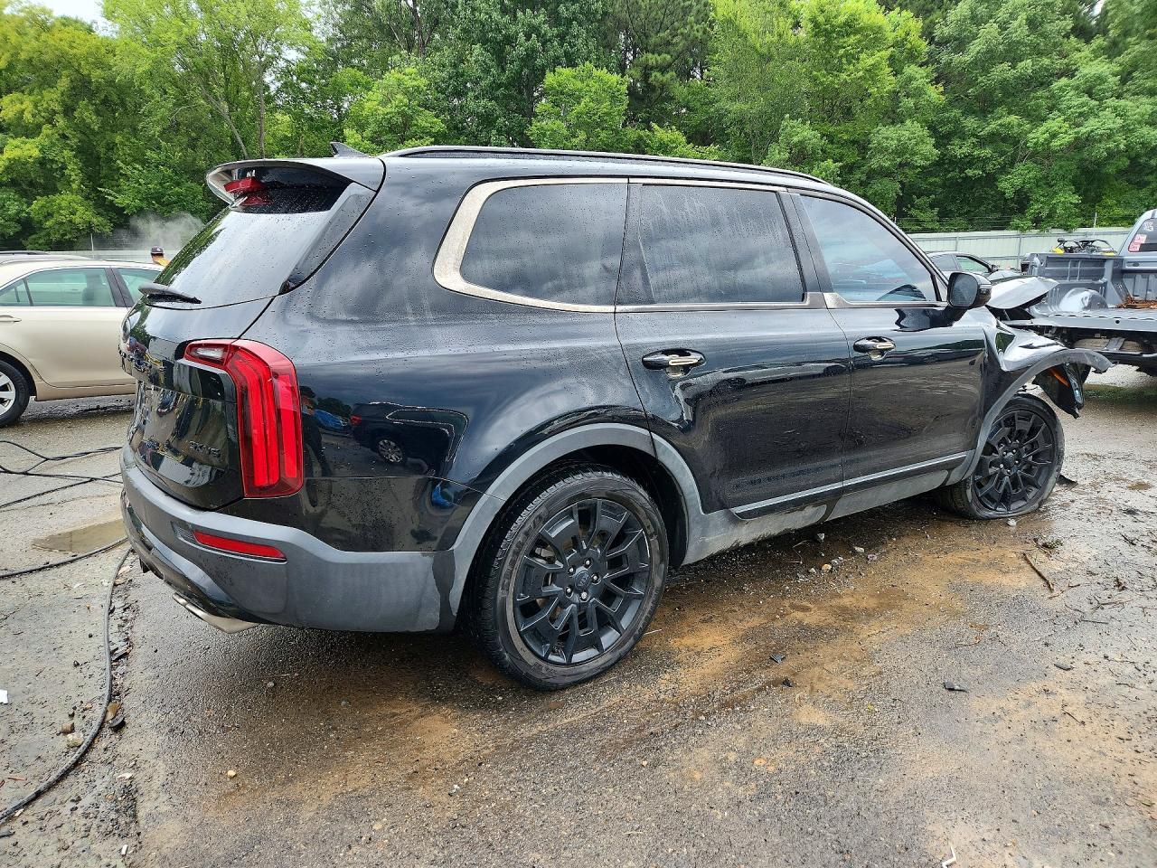 2021 Kia Telluride Sx - Фото 3
