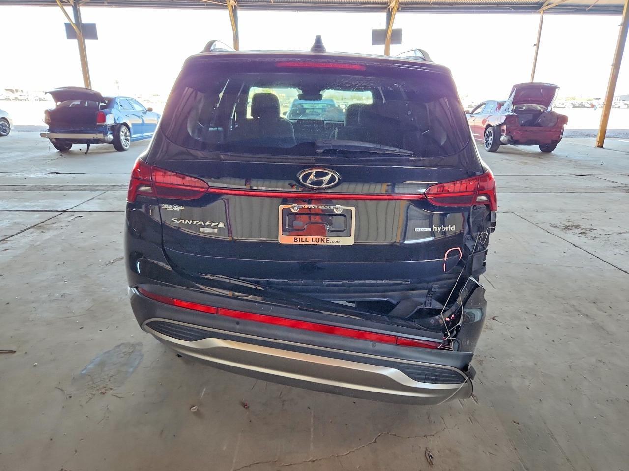 2025 Hyundai Santa Fe Blue - Фото 6