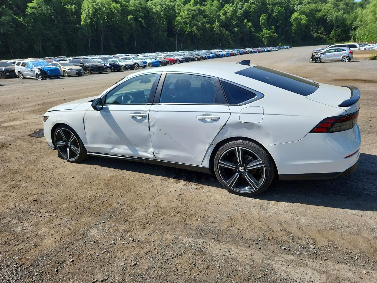 2024 Honda Accord Hybrid Sport - Фото 2