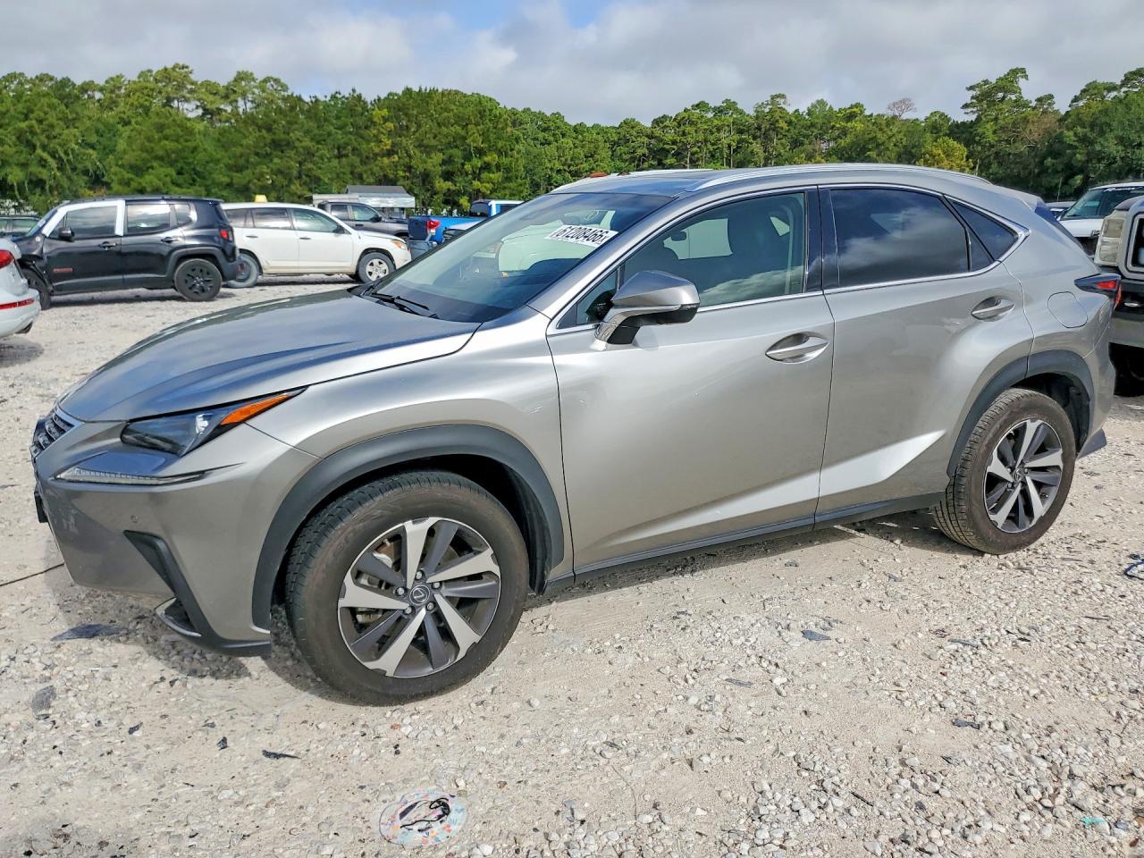 2019 Lexus Nx 300 Base