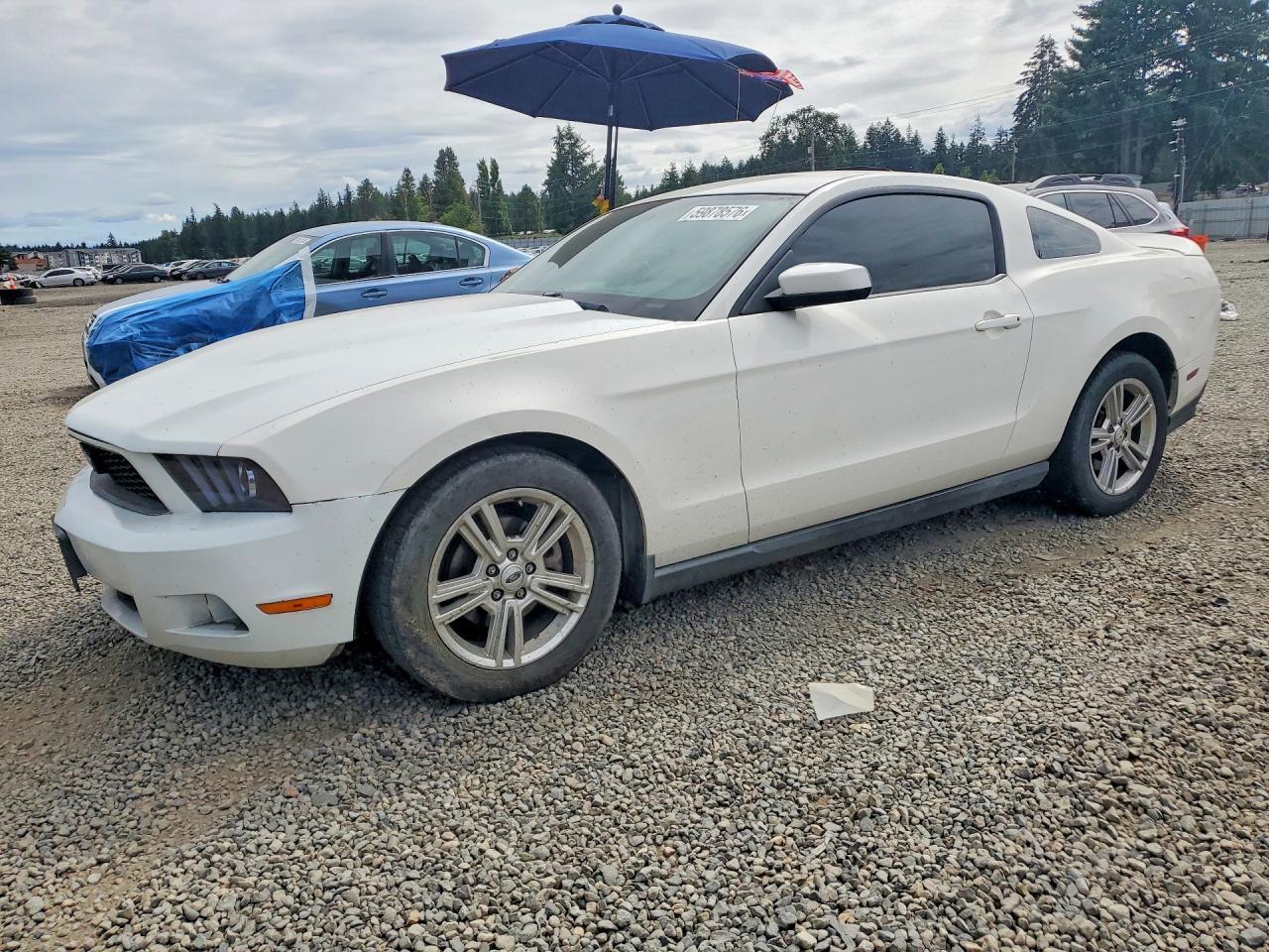 2010 Ford Mustang