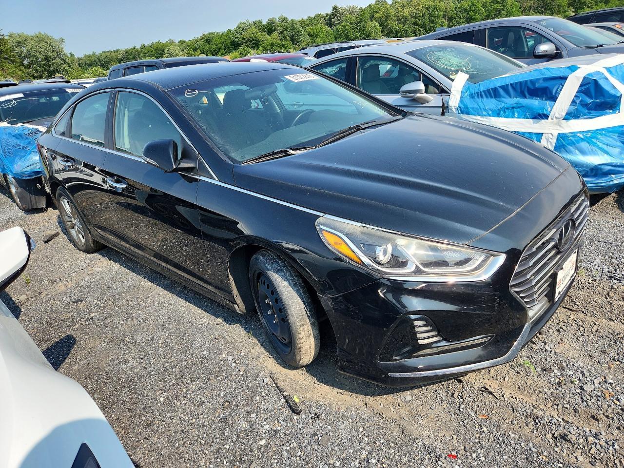 2018 Hyundai Sonata Sport - Фото 4