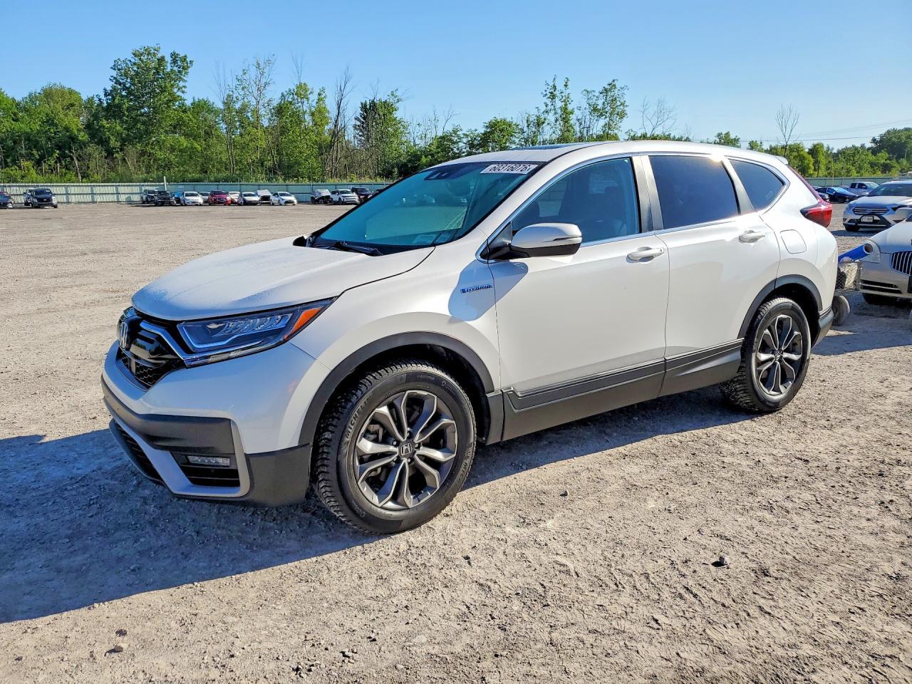 2022 Honda Cr-V Exl
