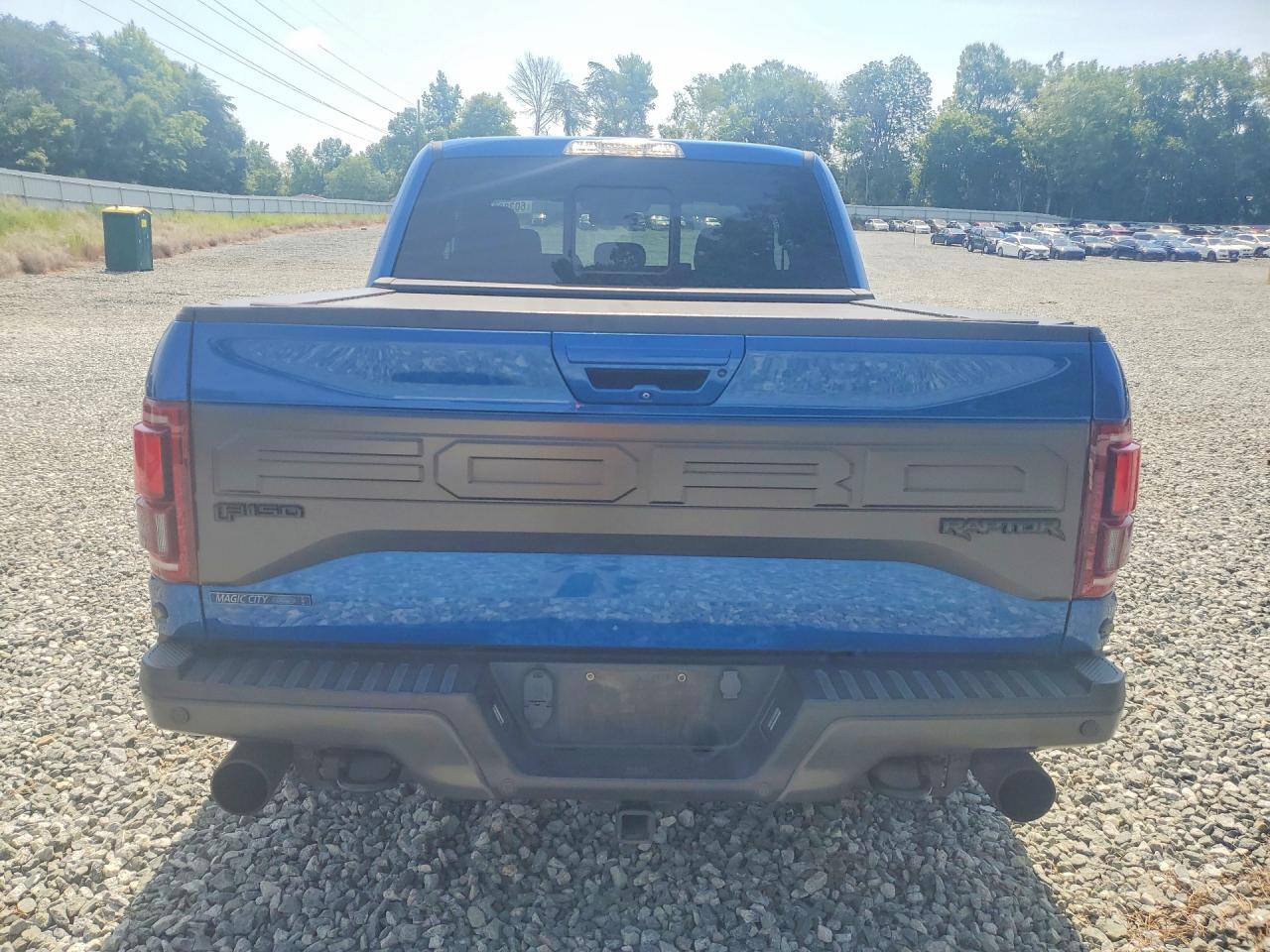 2017 Ford F150 Raptor - Image 6