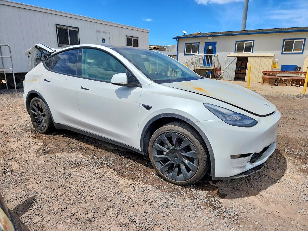 2021 Tesla Model Y - Фото 4