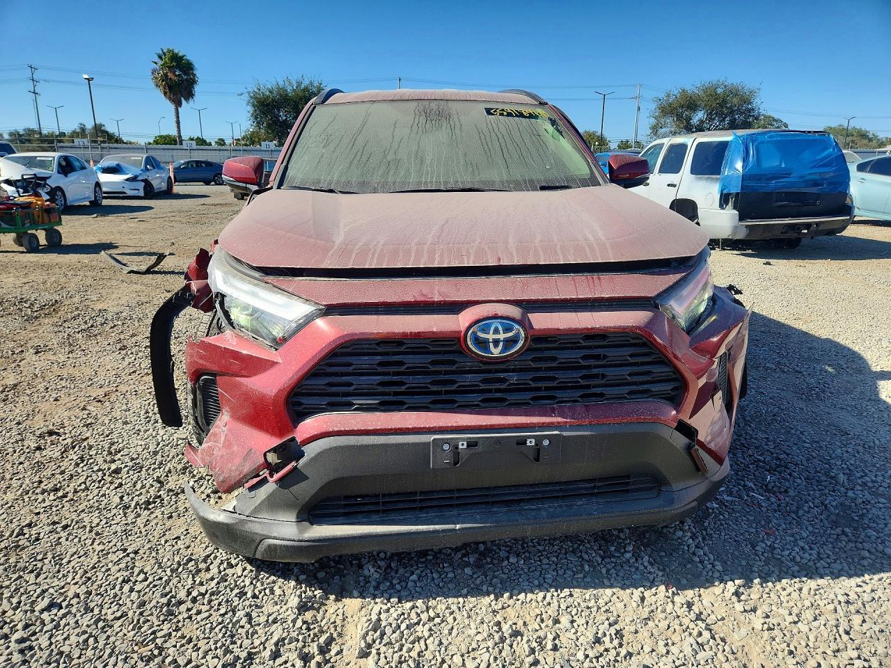 2024 Toyota Rav4 Le - Image 5