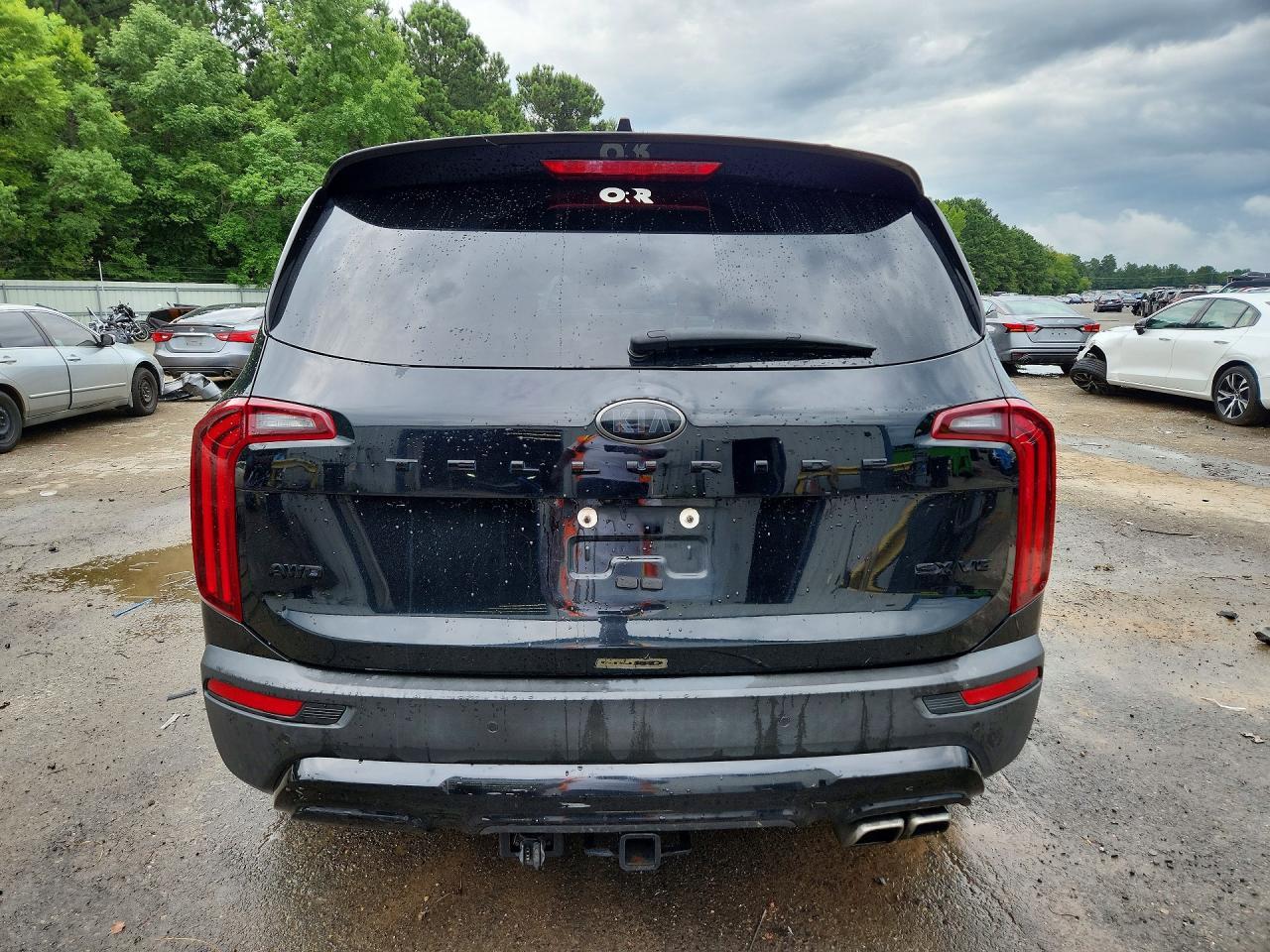 2021 Kia Telluride Sx - Фото 6