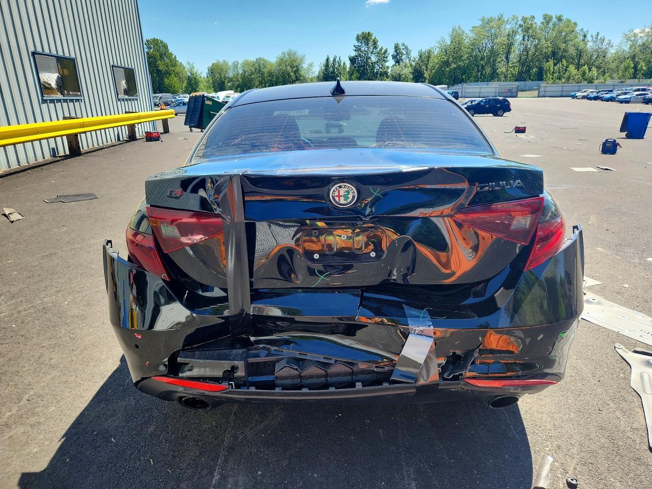 2019 Alfa Romeo Giulia - Фото 6