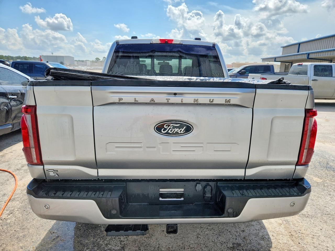 2025 Ford F150 Platinum - Фото 6