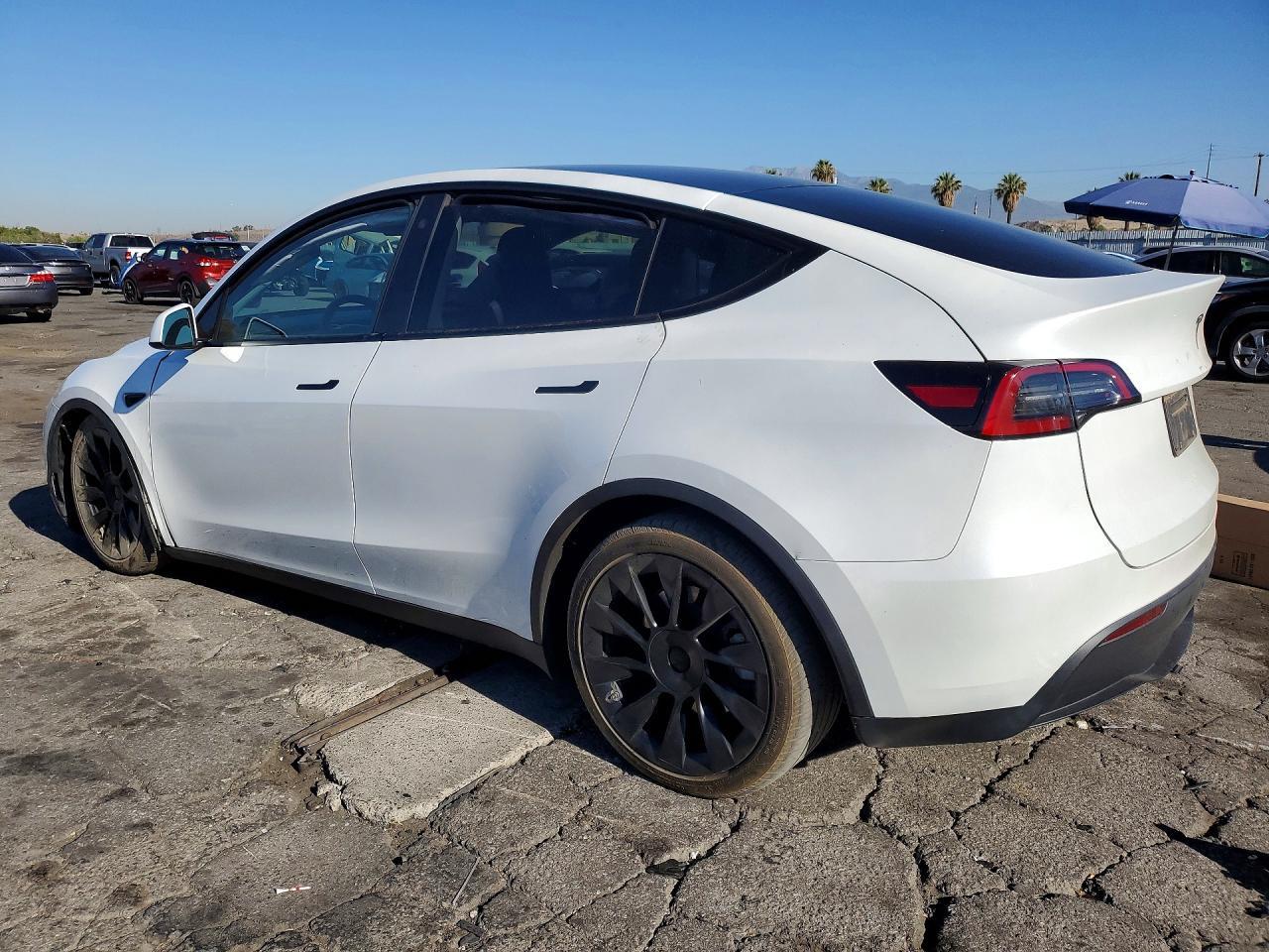 2023 Tesla Model Y - Фото 2